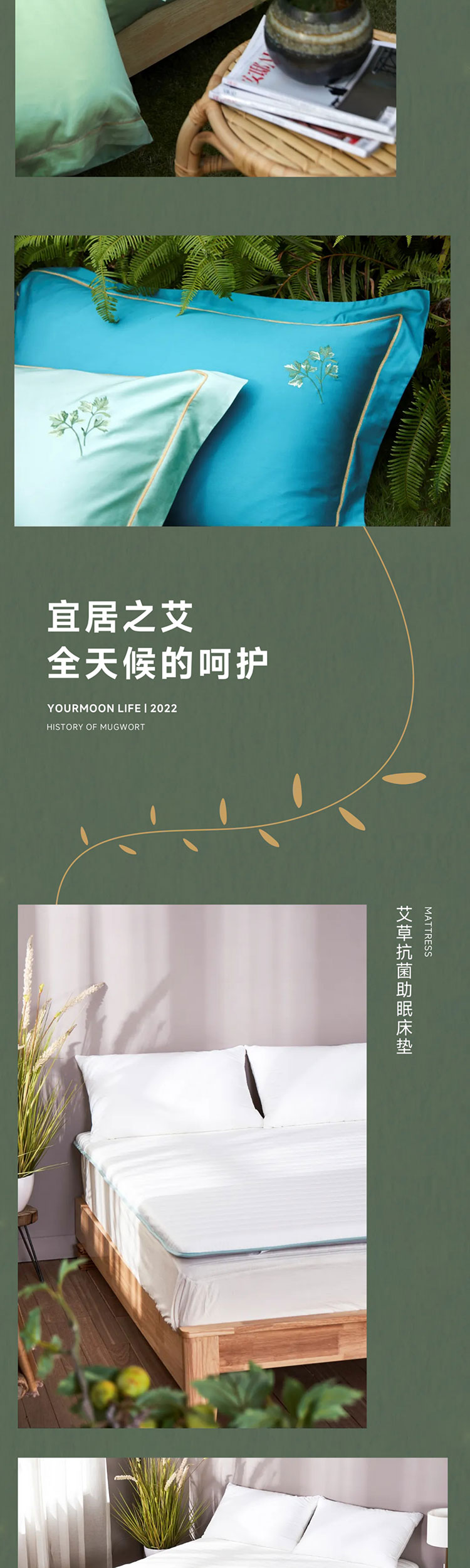 端午艾、艾草这么用有新发现