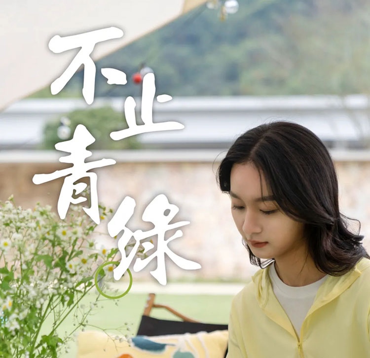 不止青绿，邂逅生活新色调