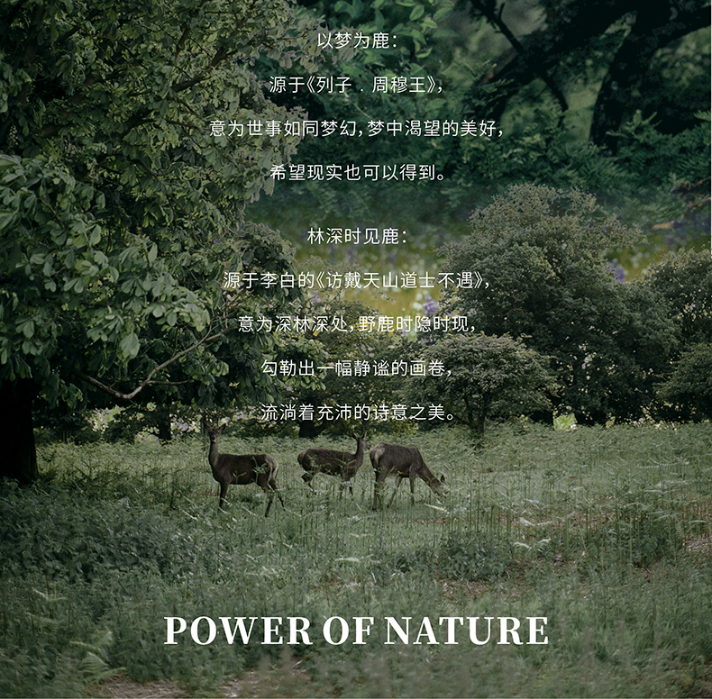 林间鹿纯棉四季绒套件 | 以梦为鹿，探寻温暖的秘密。